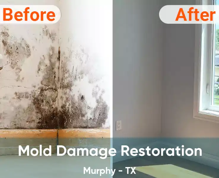  Mold Damage Restoration Murphy - TX