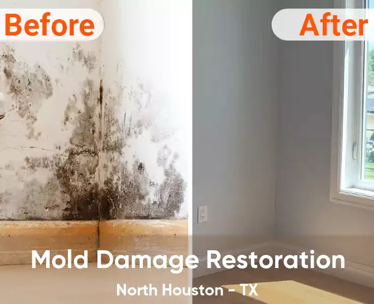  Mold Damage Restoration North Houston - TX