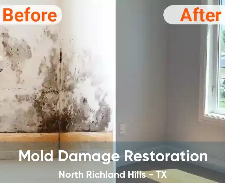  Mold Damage Restoration North Richland Hills - TX