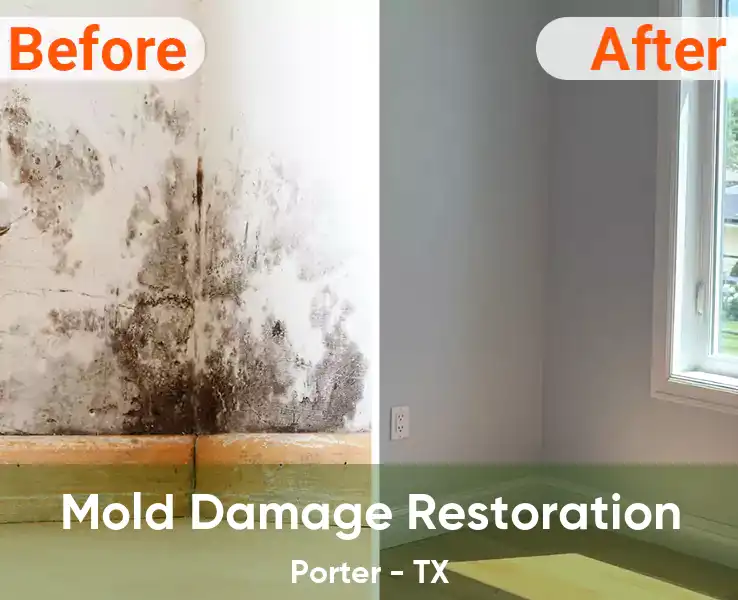  Mold Damage Restoration Porter - TX