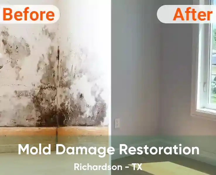  Mold Damage Restoration Richardson - TX