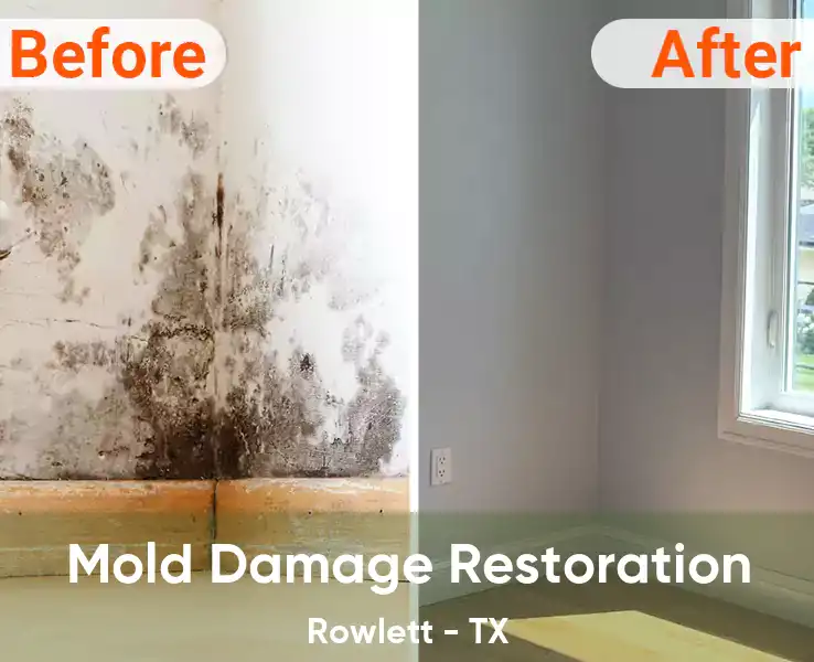  Mold Damage Restoration Rowlett - TX