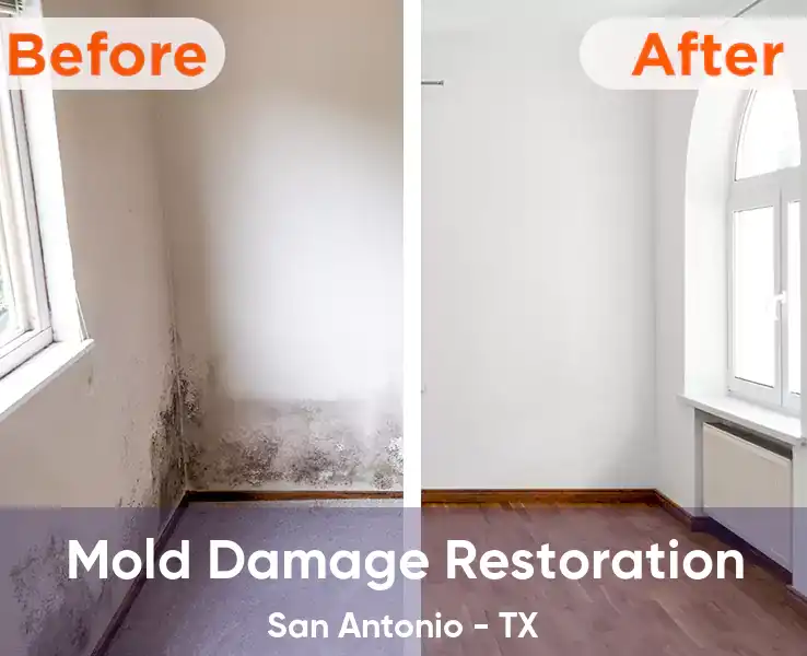 Mold Damage Restoration San Antonio - TX