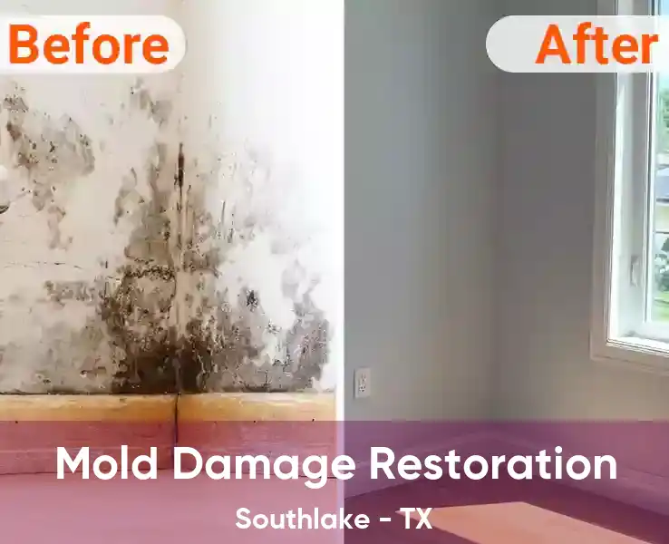  Mold Damage Restoration Southlake - TX