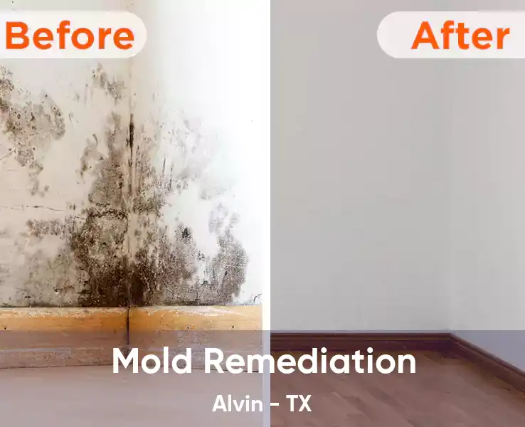  Mold Remediation Alvin - TX