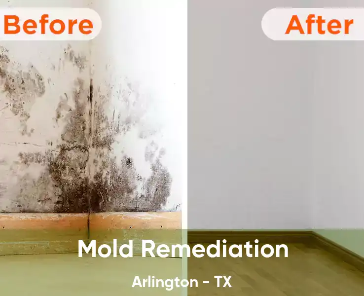  Mold Remediation Arlington - TX