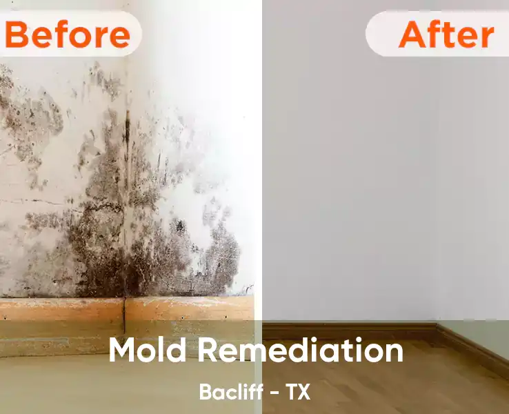  Mold Remediation Bacliff - TX