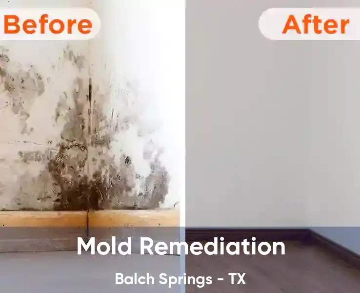  Mold Remediation Balch Springs - TX