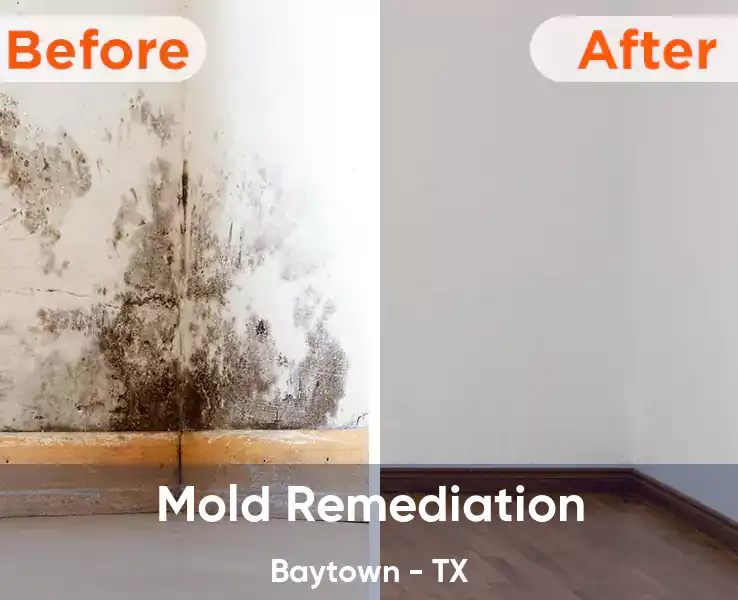  Mold Remediation Baytown - TX