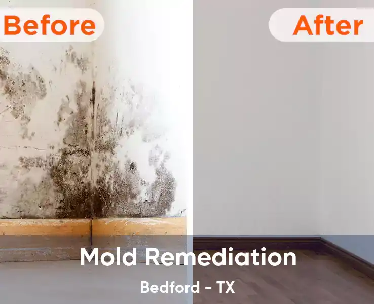  Mold Remediation Bedford - TX