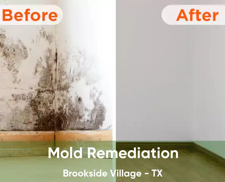  Mold Remediation Brookside Village - TX