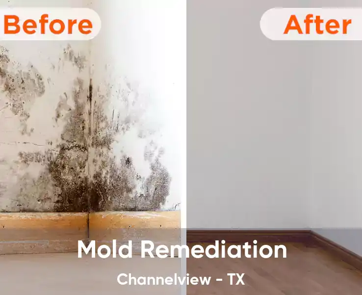  Mold Remediation Channelview - TX