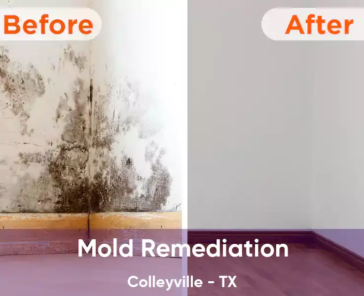  Mold Remediation Colleyville - TX