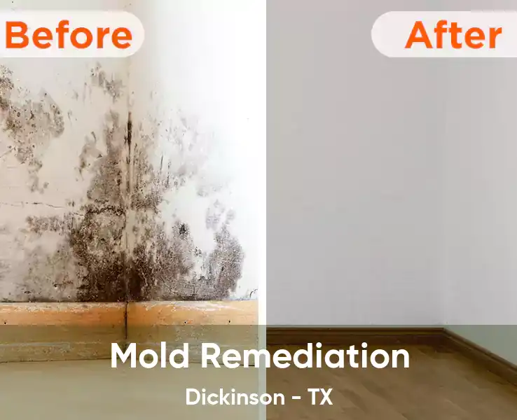  Mold Remediation Dickinson - TX