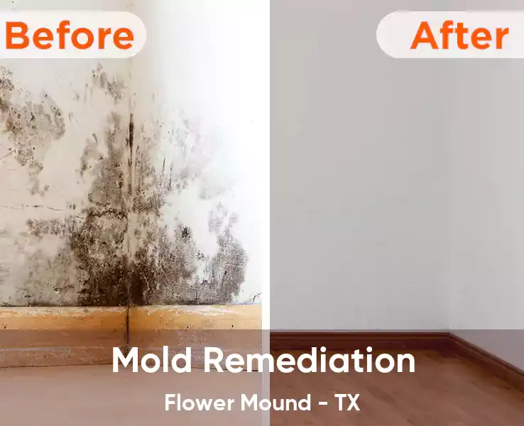  Mold Remediation Flower Mound - TX