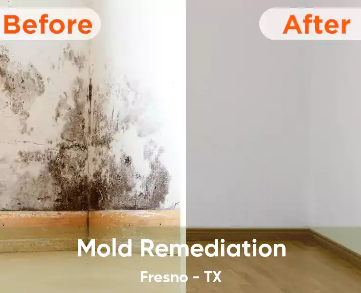  Mold Remediation Fresno - TX
