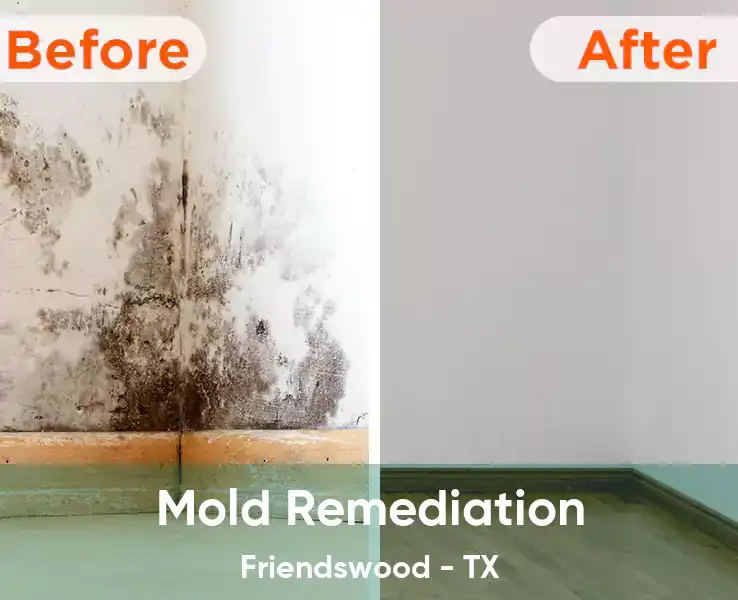  Mold Remediation Friendswood - TX