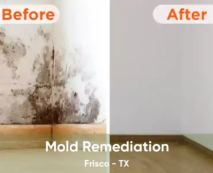  Mold Remediation Frisco - TX