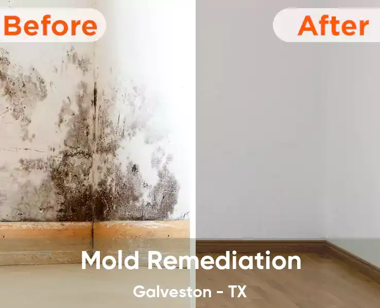  Mold Remediation Galveston - TX