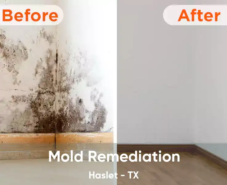  Mold Remediation Haslet - TX
