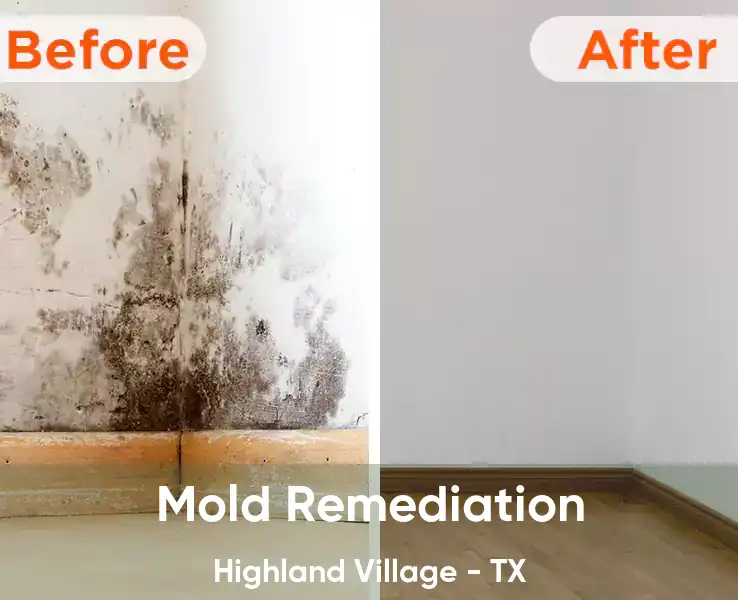  Mold Remediation Highland Village - TX