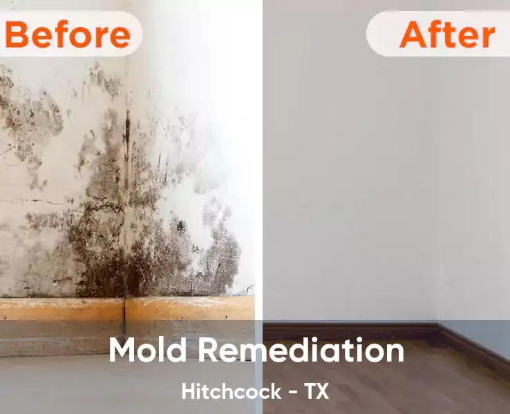  Mold Remediation Hitchcock - TX