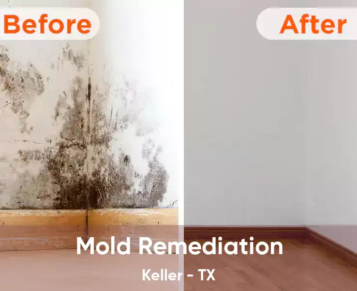  Mold Remediation Keller - TX