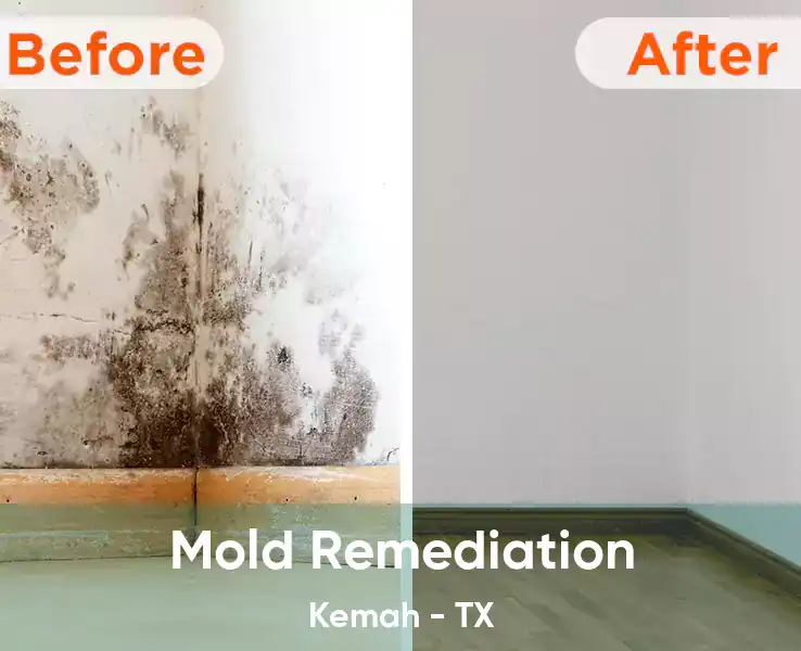  Mold Remediation Kemah - TX