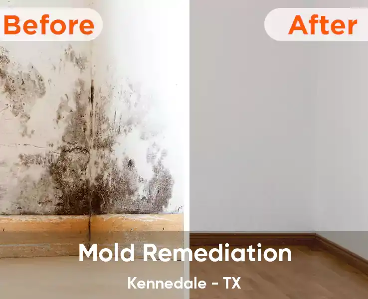  Mold Remediation Kennedale - TX