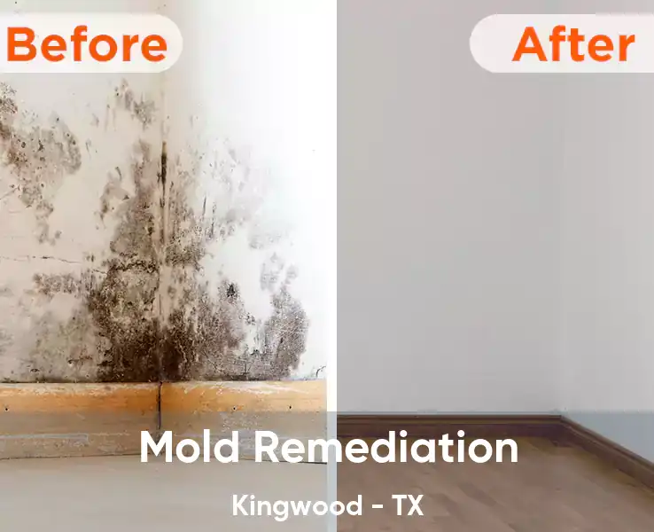  Mold Remediation Kingwood - TX