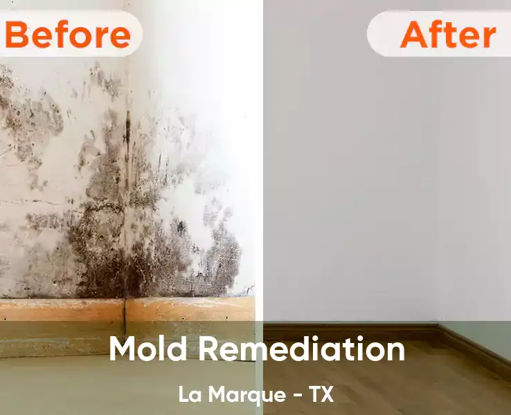  Mold Remediation La Marque - TX