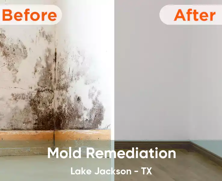  Mold Remediation Lake Jackson - TX
