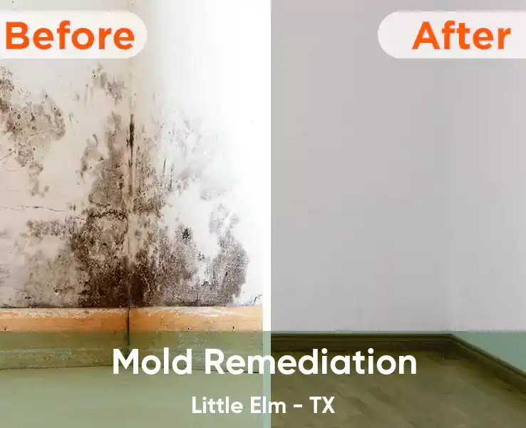  Mold Remediation Little Elm - TX