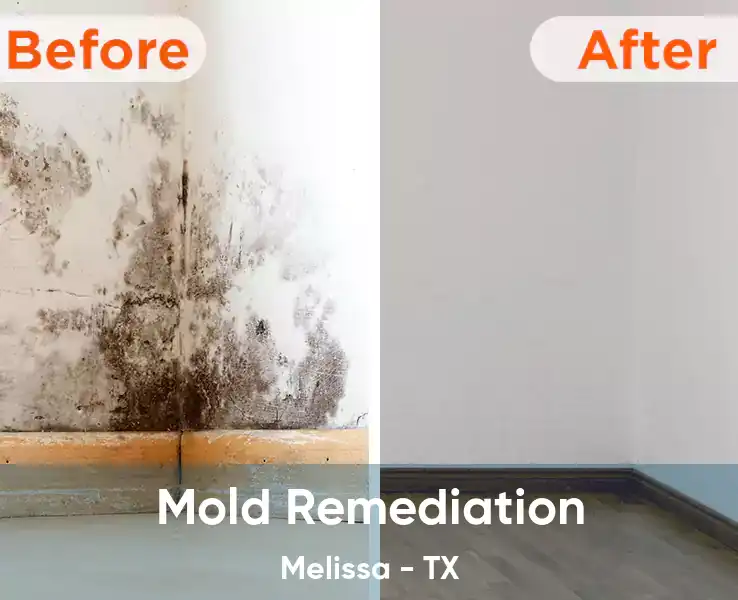  Mold Remediation Melissa - TX