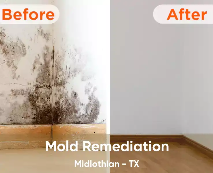  Mold Remediation Midlothian - TX
