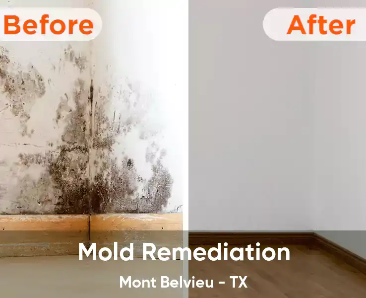 Mold Remediation Mont Belvieu - TX