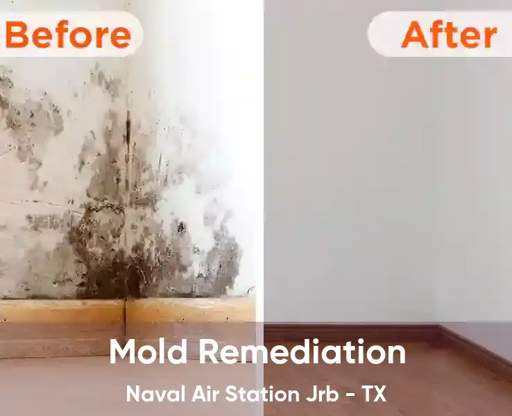  Mold Remediation Naval Air Station Jrb - TX