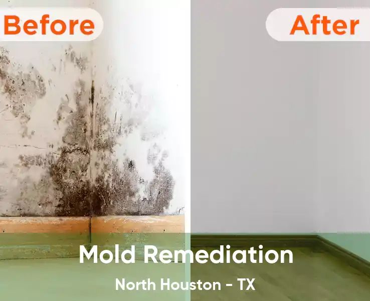  Mold Remediation North Houston - TX