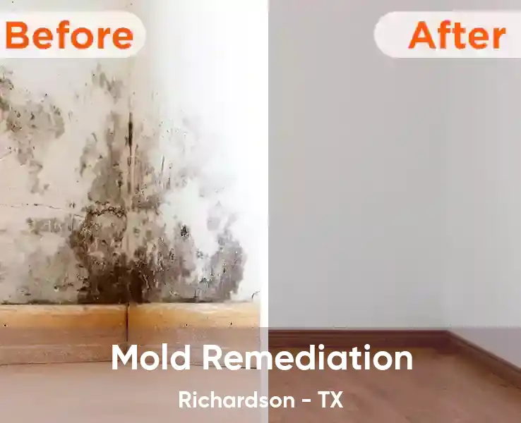  Mold Remediation Richardson - TX