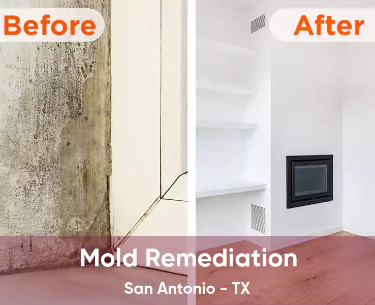  Mold Remediation San Antonio - TX