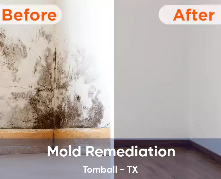  Mold Remediation Tomball - TX