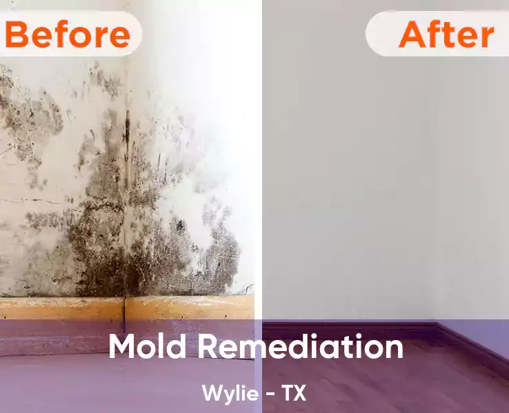 Mold Remediation Wylie - TX