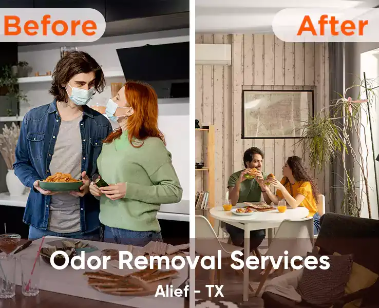  Odor Removal Services Alief - TX