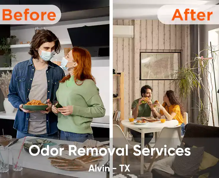  Odor Removal Services Alvin - TX