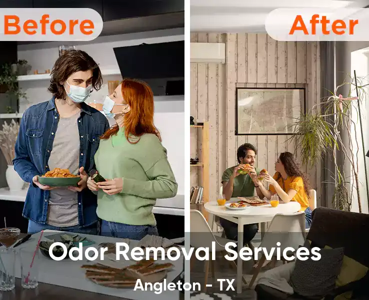  Odor Removal Services Angleton - TX