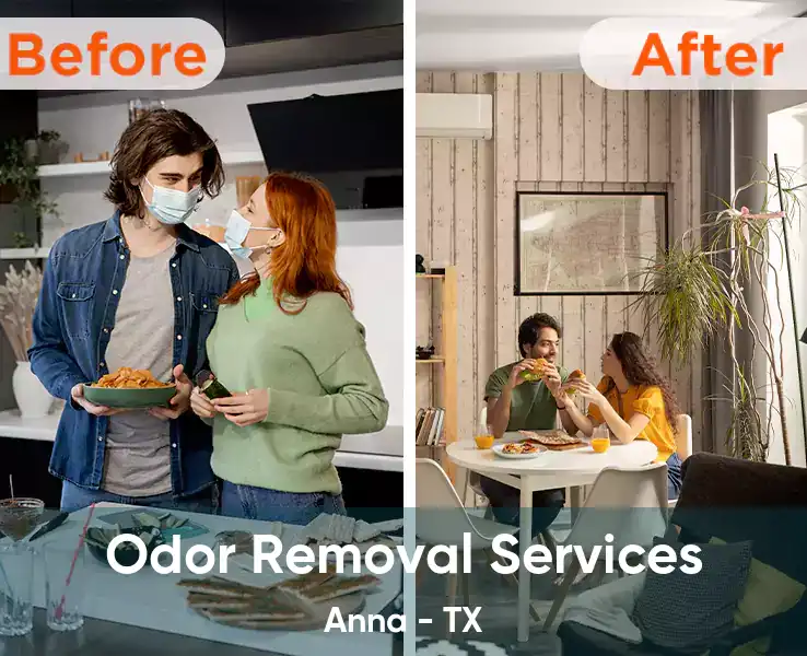  Odor Removal Services Anna - TX