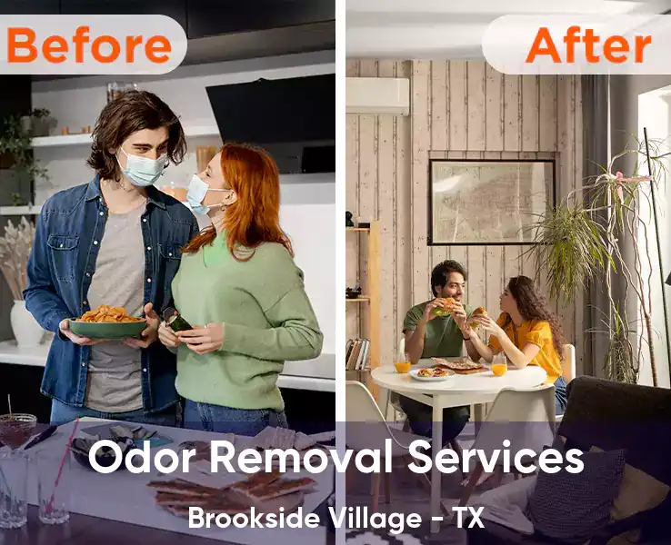  Odor Removal Services Brookside Village - TX