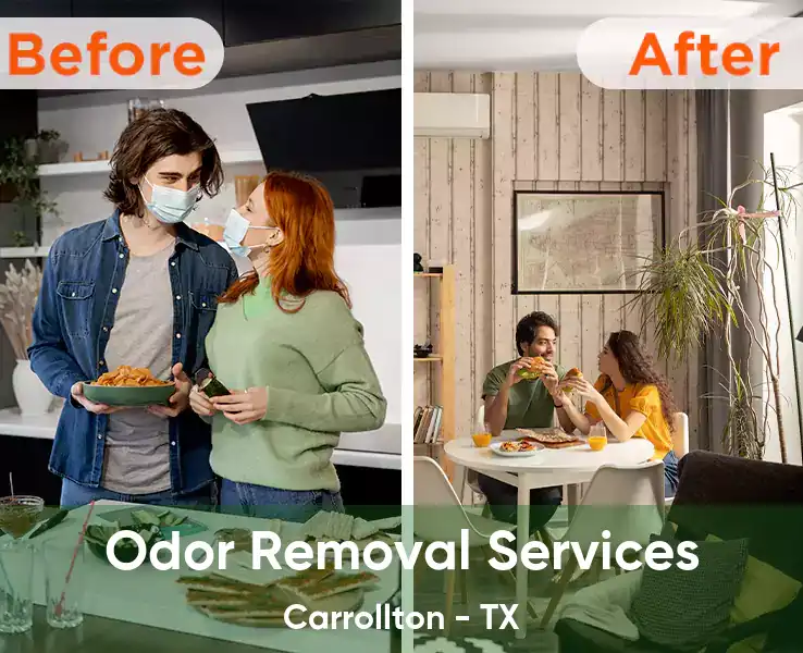  Odor Removal Services Carrollton - TX