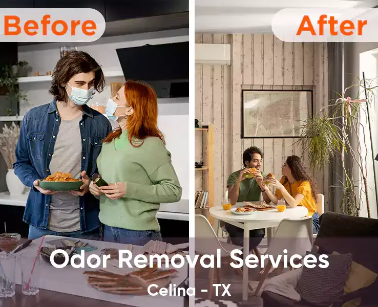  Odor Removal Services Celina - TX