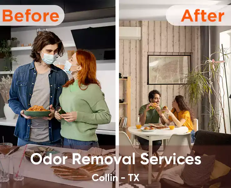  Odor Removal Services Collin - TX